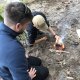 Bushcraft Course for corporate or leisure group in Scotland
